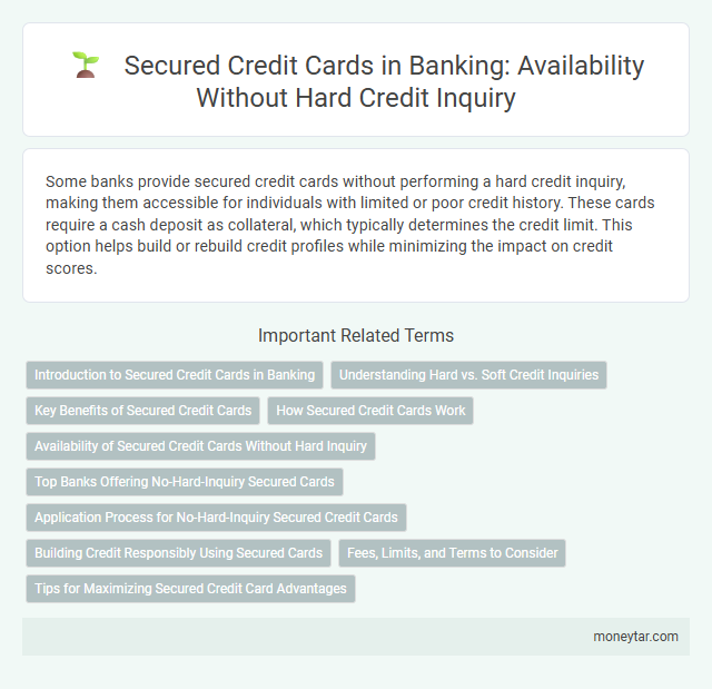 Secured Credit Cards in Banking: Availability Without Hard Credit Inquiry