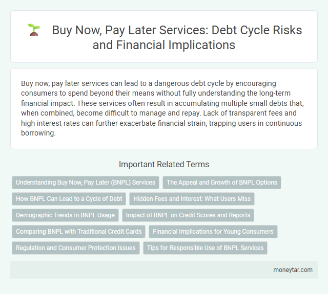 Buy Now, Pay Later Services: Debt Cycle Risks and Financial Implications