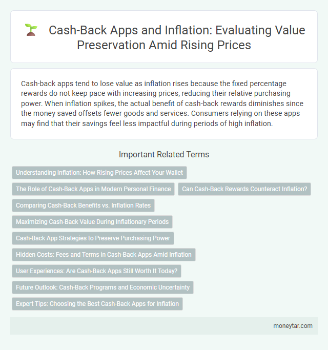 Cash-Back Apps and Inflation: Evaluating Value Preservation Amid Rising Prices