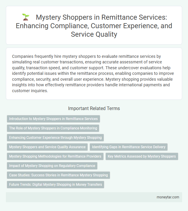 Mystery Shoppers in Remittance Services: Enhancing Compliance, Customer Experience, and Service Quality