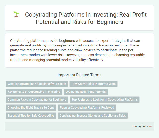 Copytrading Platforms in Investing: Real Profit Potential and Risks for Beginners