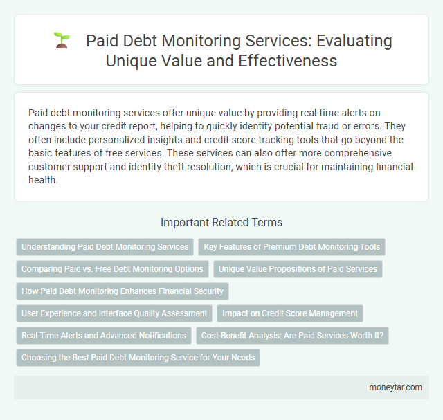 Paid Debt Monitoring Services: Evaluating Unique Value and Effectiveness