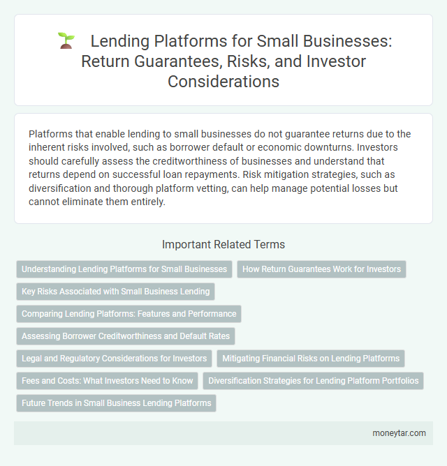 Lending Platforms for Small Businesses: Return Guarantees, Risks, and Investor Considerations