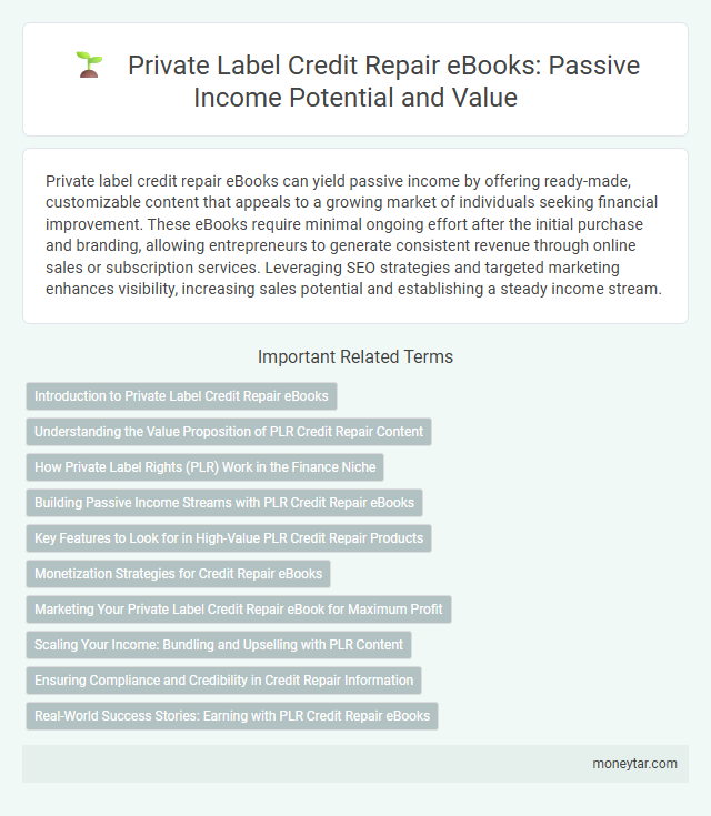 Private Label Credit Repair eBooks: Passive Income Potential and Value
