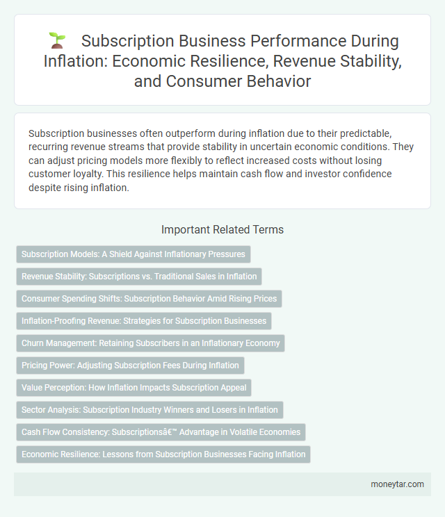 Subscription Business Performance During Inflation: Economic Resilience, Revenue Stability, and Consumer Behavior