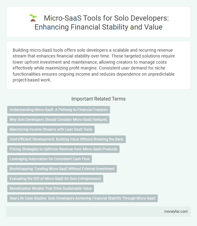 Micro-SaaS Tools for Solo Developers: Enhancing Financial Stability and Value