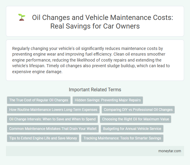 Oil Changes and Vehicle Maintenance Costs: Real Savings for Car Owners