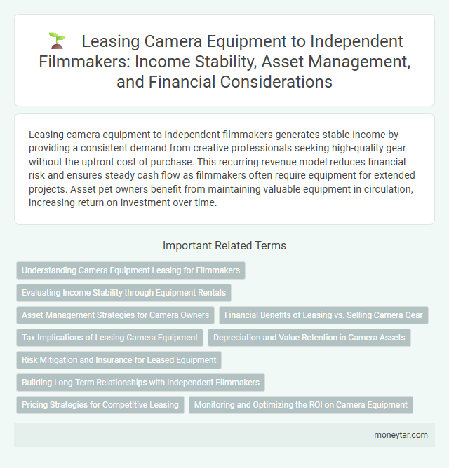 Leasing Camera Equipment to Independent Filmmakers: Income Stability, Asset Management, and Financial Considerations