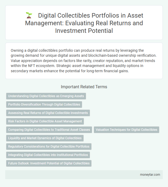 Digital Collectibles Portfolios in Asset Management: Evaluating Real Returns and Investment Potential