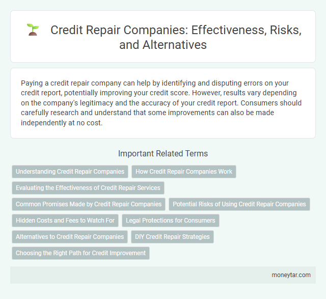 Credit Repair Companies: Effectiveness, Risks, and Alternatives