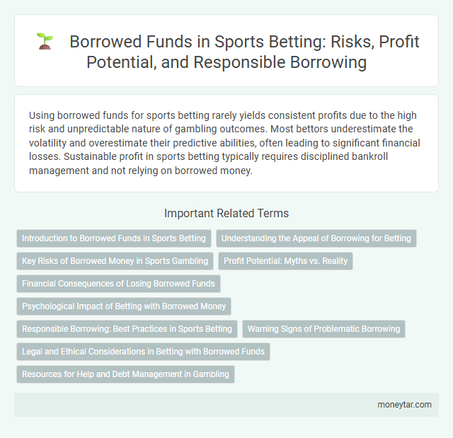 Borrowed Funds in Sports Betting: Risks, Profit Potential, and Responsible Borrowing