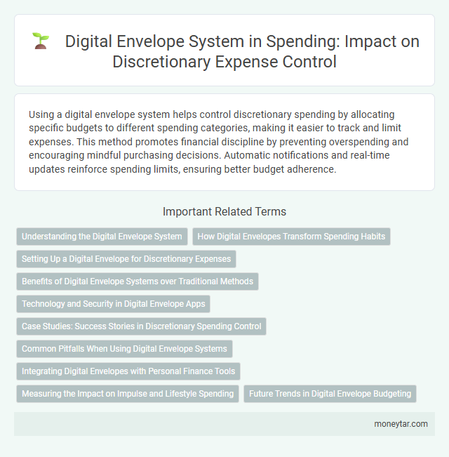 Digital Envelope System in Spending: Impact on Discretionary Expense Control