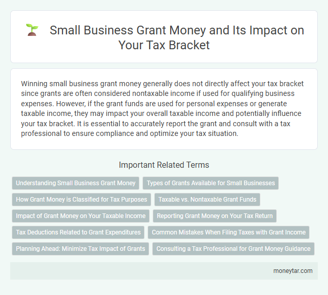Small Business Grant Money and Its Impact on Your Tax Bracket