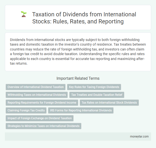 Taxation of Dividends from International Stocks: Rules, Rates, and Reporting