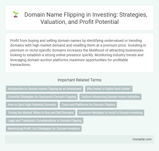 Domain Name Flipping in Investing: Strategies, Valuation, and Profit Potential