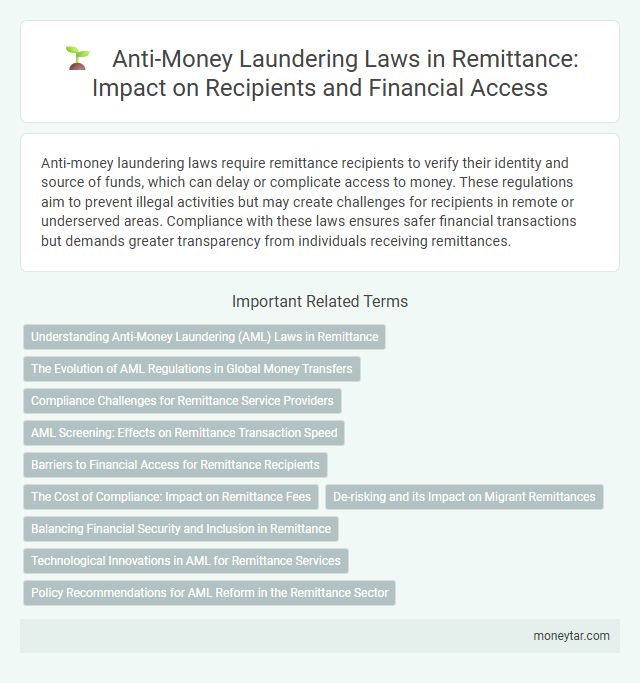Anti-Money Laundering Laws in Remittance: Impact on Recipients and Financial Access