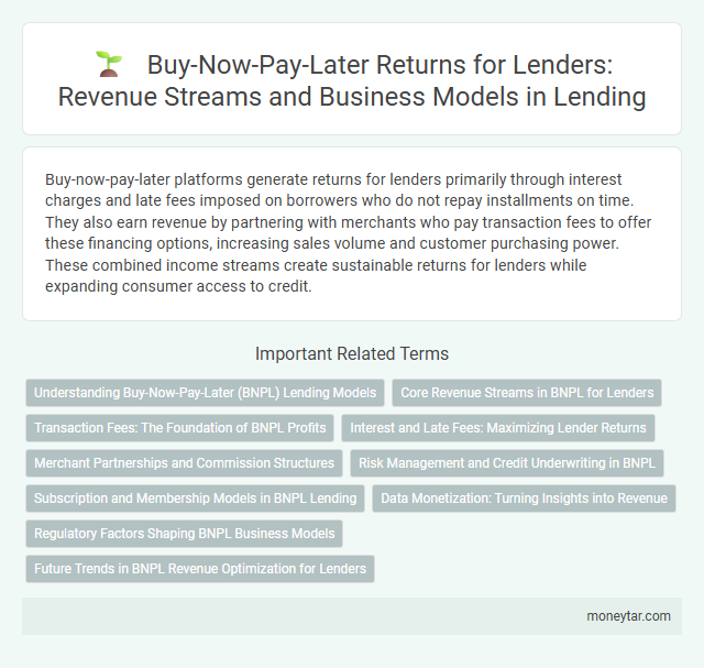 Buy-Now-Pay-Later Returns for Lenders: Revenue Streams and Business Models in Lending