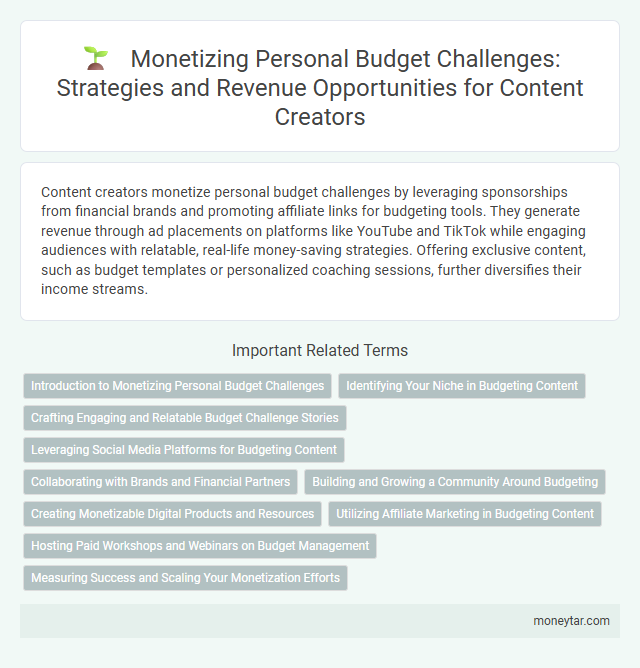 Monetizing Personal Budget Challenges: Strategies and Revenue Opportunities for Content Creators