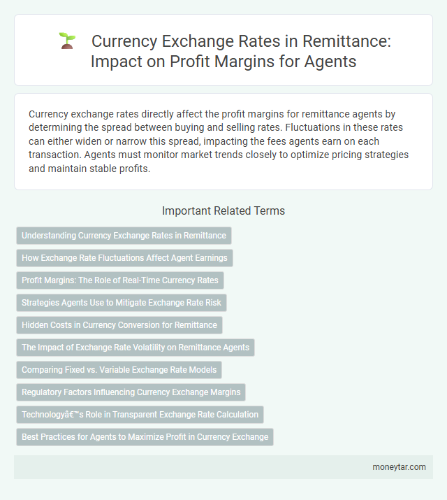 Currency Exchange Rates in Remittance: Impact on Profit Margins for Agents