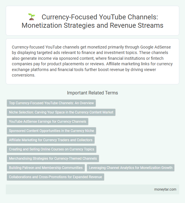 Currency-Focused YouTube Channels: Monetization Strategies and Revenue Streams