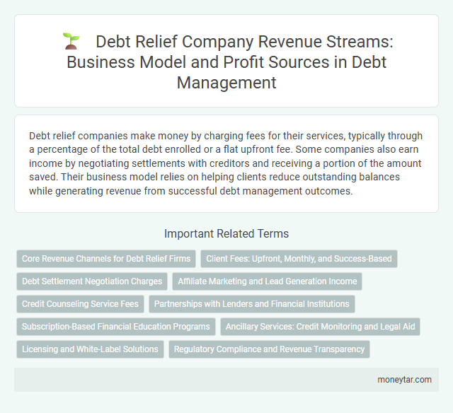 Debt Relief Company Revenue Streams: Business Model and Profit Sources in Debt Management