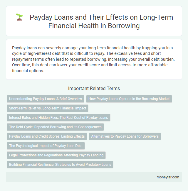 Payday Loans and Their Effects on Long-Term Financial Health in Borrowing
