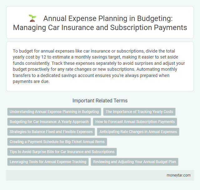 Annual Expense Planning in Budgeting: Managing Car Insurance and Subscription Payments