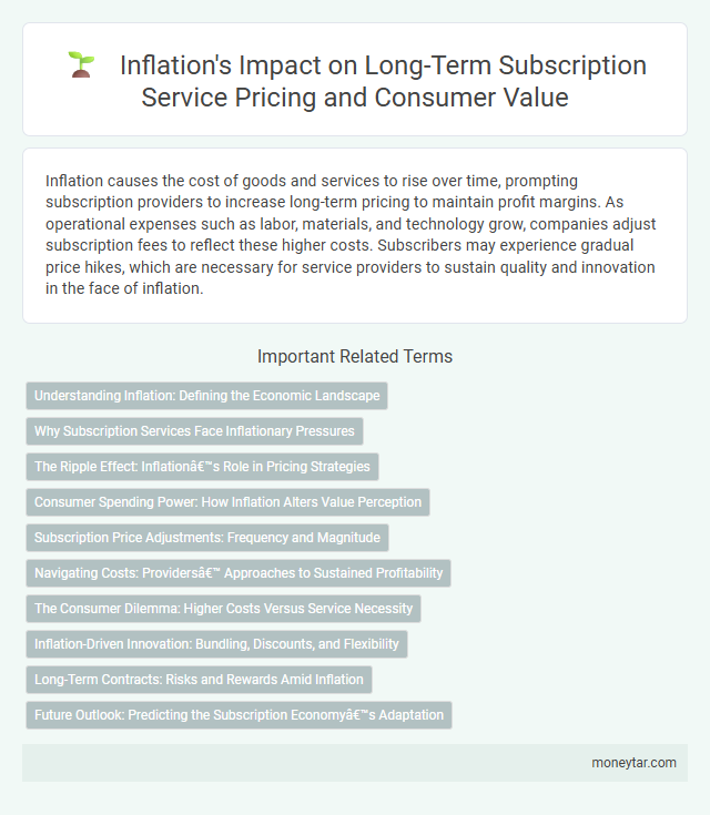 Inflation's Impact on Long-Term Subscription Service Pricing and Consumer Value