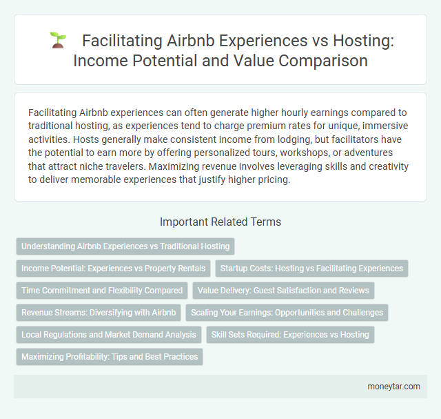 Facilitating Airbnb Experiences vs Hosting: Income Potential and Value Comparison