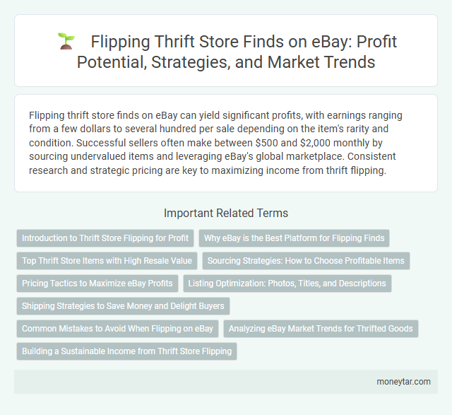 Flipping Thrift Store Finds on eBay: Profit Potential, Strategies, and Market Trends