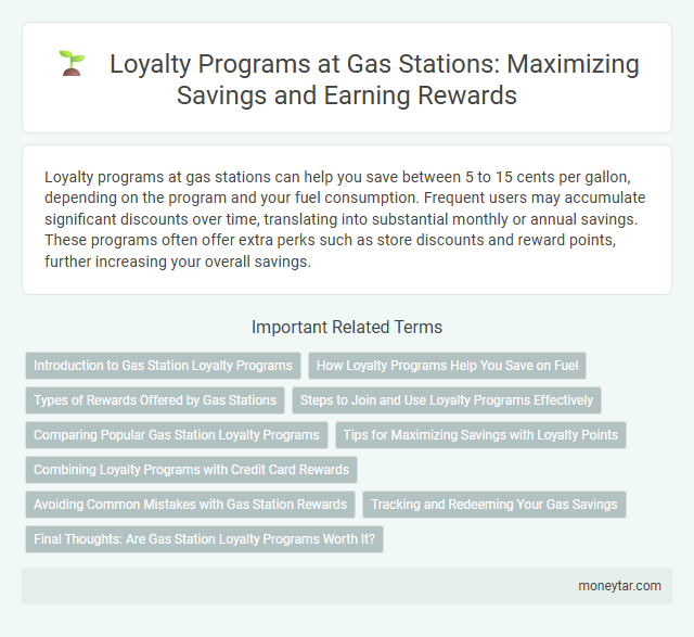 Loyalty Programs at Gas Stations: Maximizing Savings and Earning Rewards