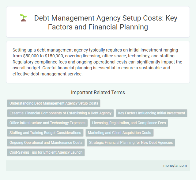 Debt Management Agency Setup Costs: Key Factors and Financial Planning