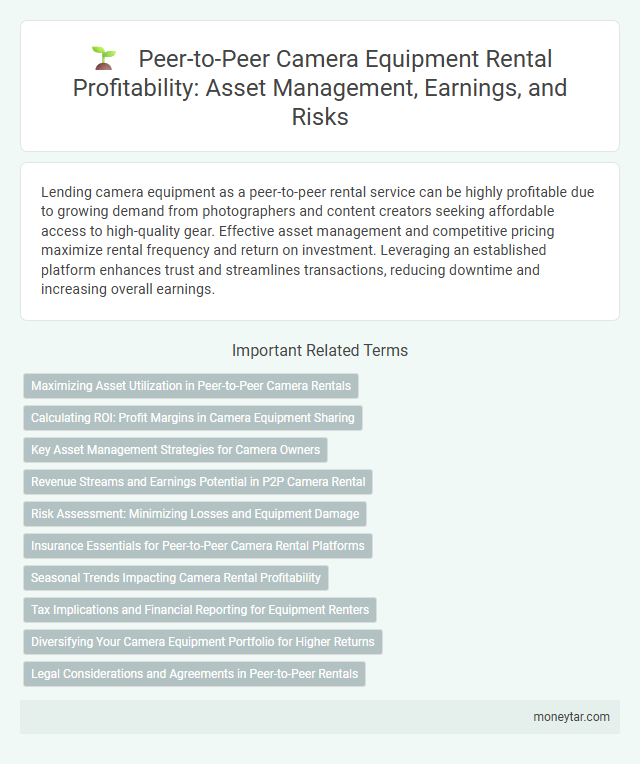 Peer-to-Peer Camera Equipment Rental Profitability: Asset Management, Earnings, and Risks