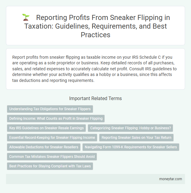 Reporting Profits From Sneaker Flipping in Taxation: Guidelines, Requirements, and Best Practices