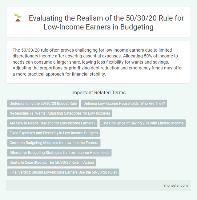 Evaluating the Realism of the 50/30/20 Rule for Low-Income Earners in Budgeting