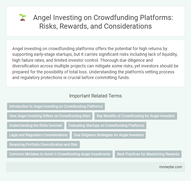 Angel Investing on Crowdfunding Platforms: Risks, Rewards, and Considerations