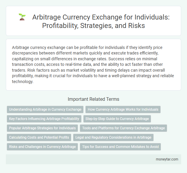 Arbitrage Currency Exchange for Individuals: Profitability, Strategies, and Risks