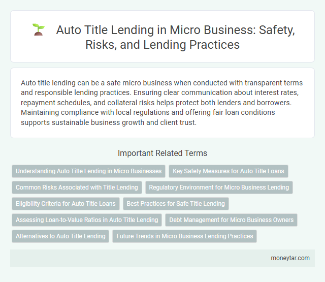 Auto Title Lending in Micro Business: Safety, Risks, and Lending Practices