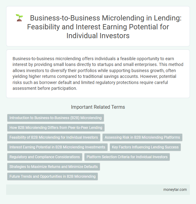 Business-to-Business Microlending in Lending: Feasibility and Interest Earning Potential for Individual Investors