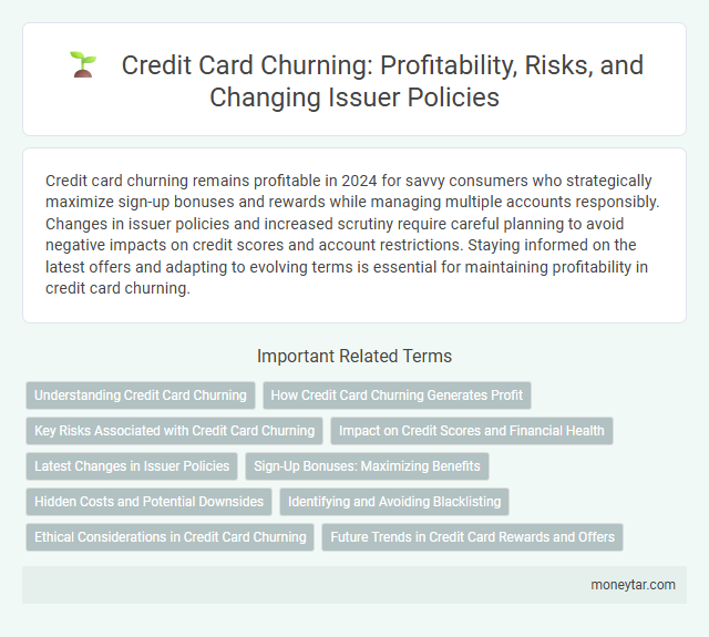 Credit Card Churning: Profitability, Risks, and Changing Issuer Policies