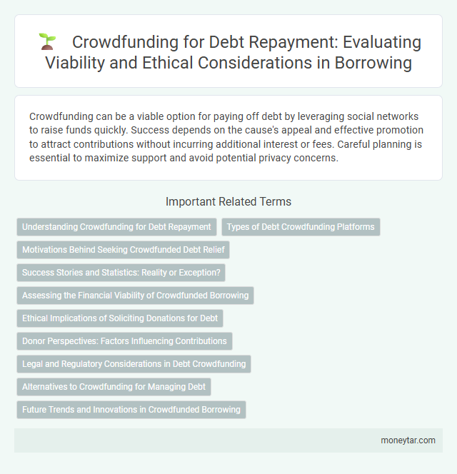Crowdfunding for Debt Repayment: Evaluating Viability and Ethical Considerations in Borrowing