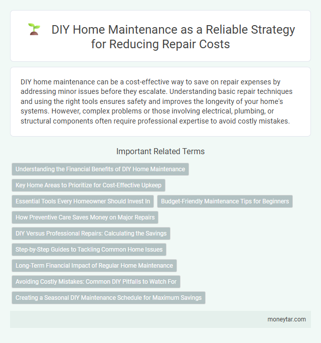 DIY Home Maintenance as a Reliable Strategy for Reducing Repair Costs