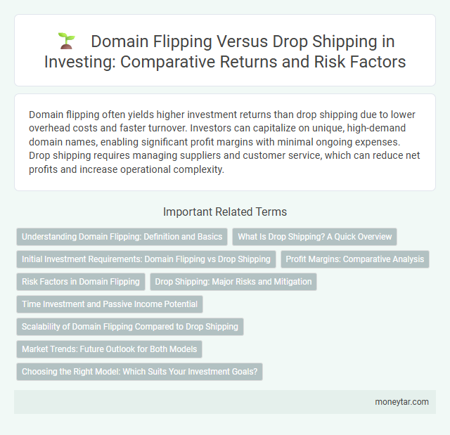 Domain Flipping Versus Drop Shipping in Investing: Comparative Returns and Risk Factors