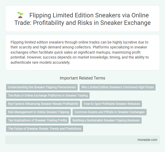 Flipping Limited Edition Sneakers via Online Trade: Profitability and Risks in Sneaker Exchange