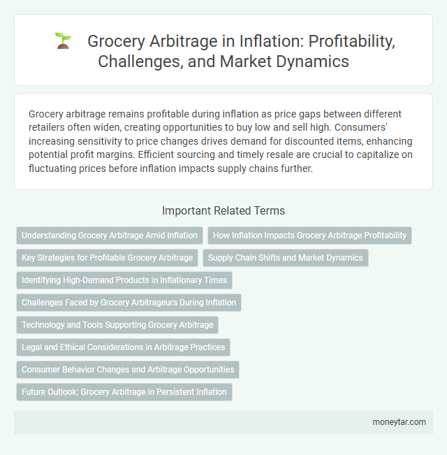Grocery Arbitrage in Inflation: Profitability, Challenges, and Market Dynamics