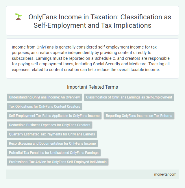 OnlyFans Income in Taxation: Classification as Self-Employment and Tax Implications