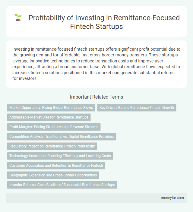 Profitability of Investing in Remittance-Focused Fintech Startups