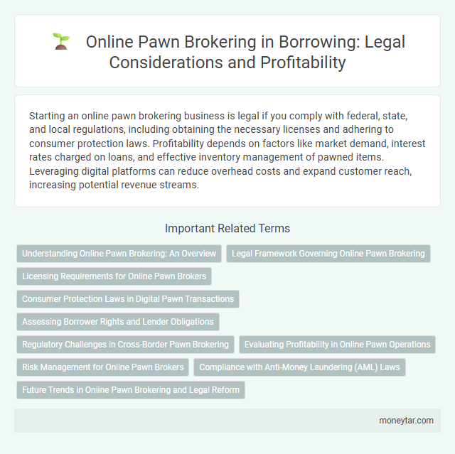 Online Pawn Brokering in Borrowing: Legal Considerations and Profitability