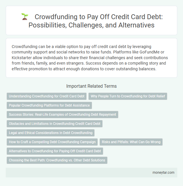 Crowdfunding to Pay Off Credit Card Debt: Possibilities, Challenges, and Alternatives