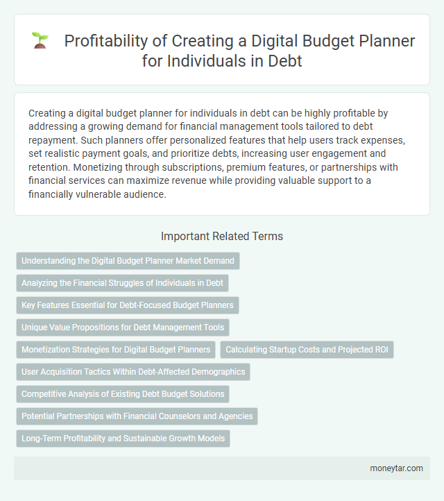 Profitability of Creating a Digital Budget Planner for Individuals in Debt
